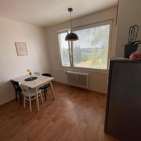 Ferienwohnung Klidny Byt Na Okraji Trutnova Exterior foto